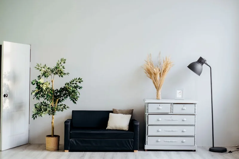 Natural Lighting Living Room